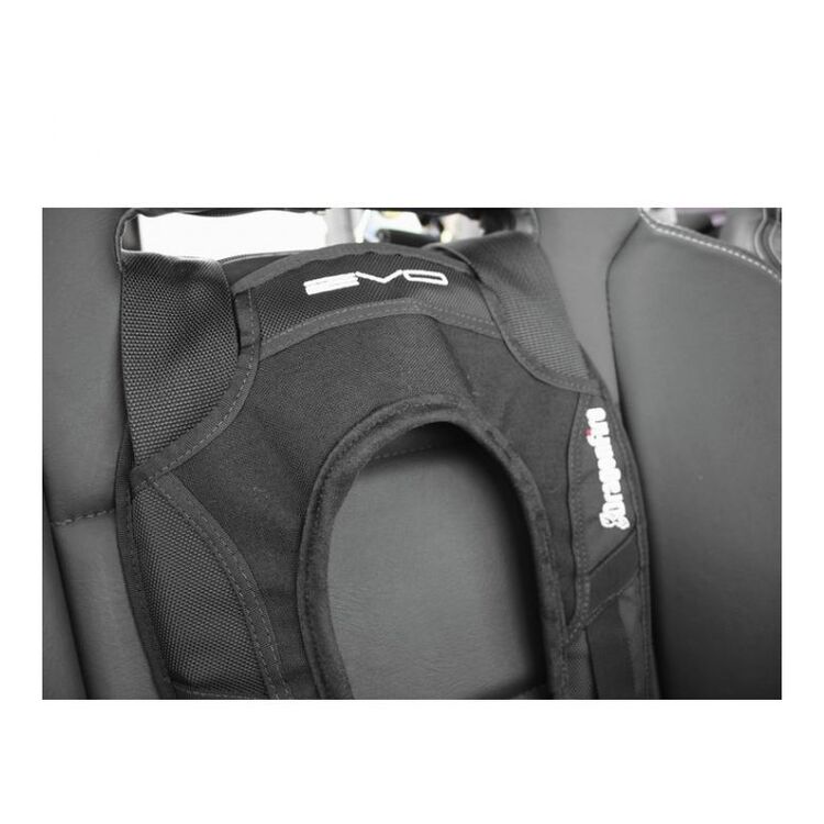 DragonFire Racing EVO Harness