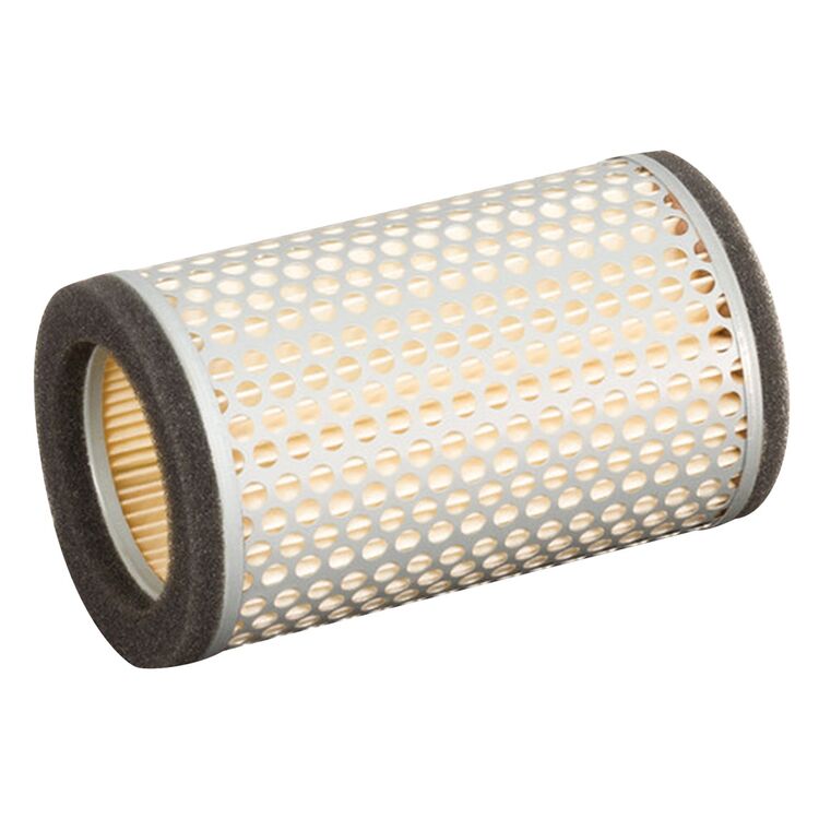 HiFloFiltro Air Filter HFA2403 