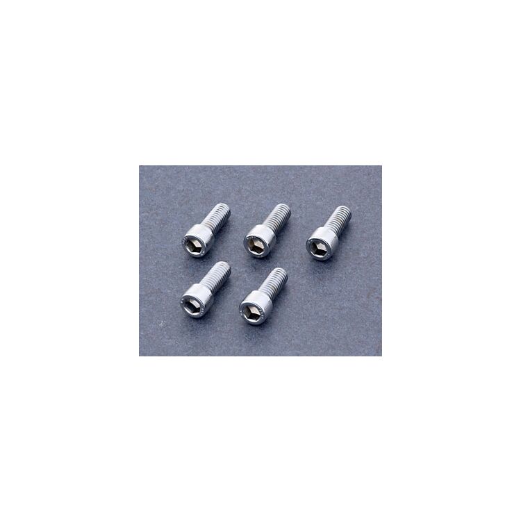 Colony Grade 8 Knurled Allen Head Chrome Plated Screws