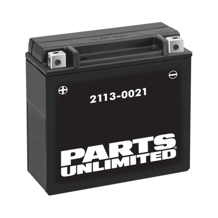 Parts Unlimited YTX20H High Performance Maintenance Free Battery For Harley 1979-2000