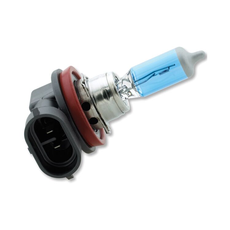 PIAA H8 XTreme White Plus Bulb