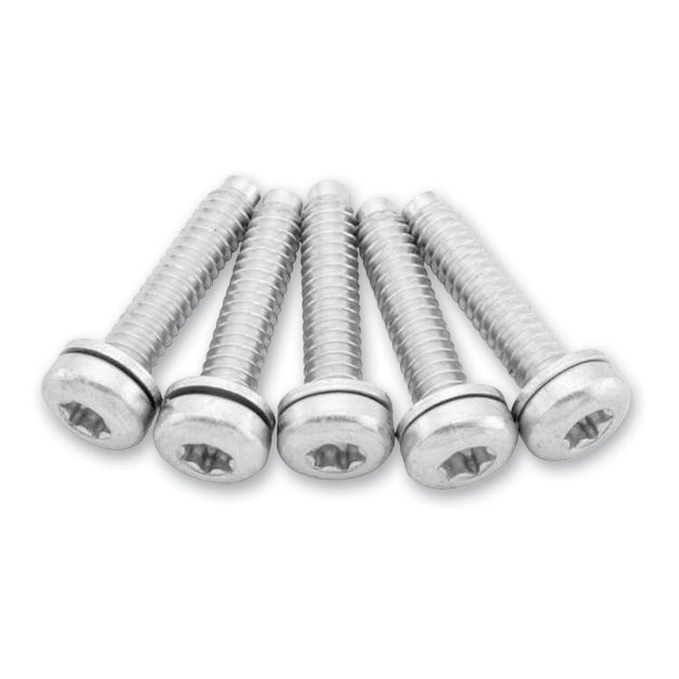 Twin Power Fuel Pump Plate Screws For Harley