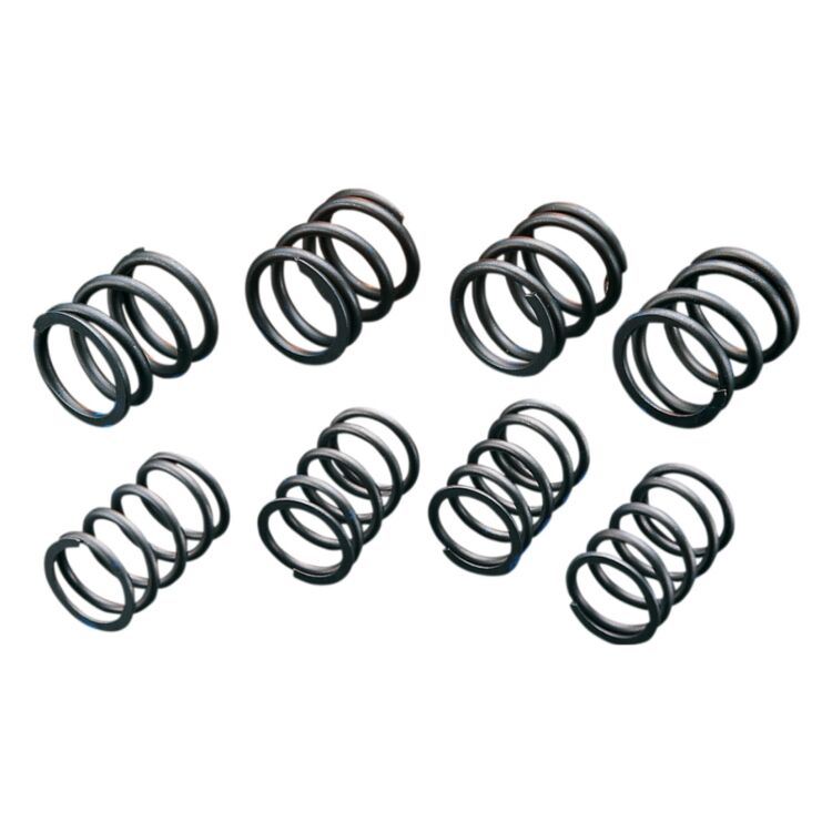 Andrews High Lift Valve Spring Set For Harley Shovelhead 1965-1984