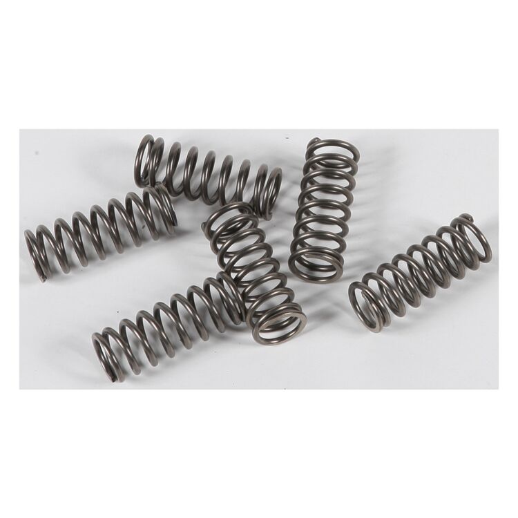 EBC CSK122 Clutch Spring Kit