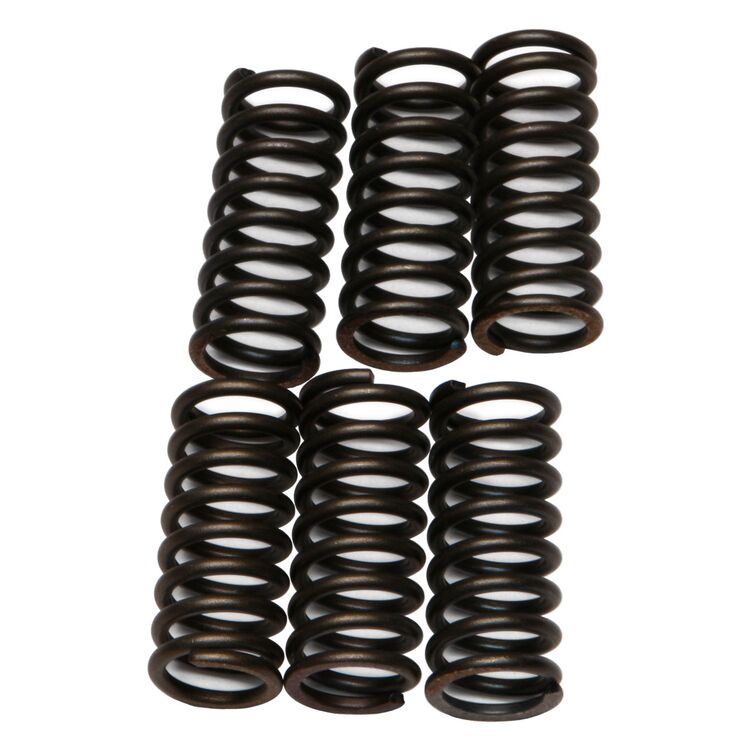 EBC CSK29 Clutch Spring Kit