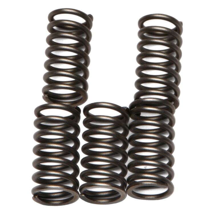 EBC CSK56 Clutch Spring Kit