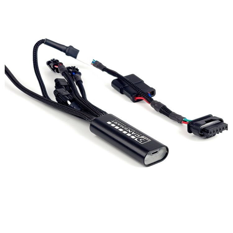 Denali 2.0 Plug-N-Play CANsmart Controller BMW R1300GS 2024-2025