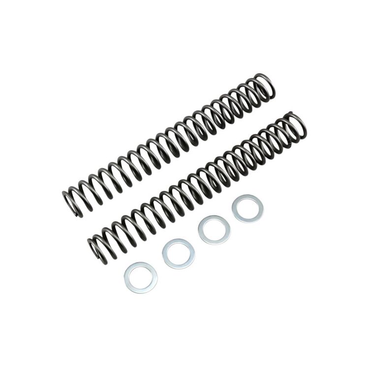 Race Tech Fork Springs FRSP S4031