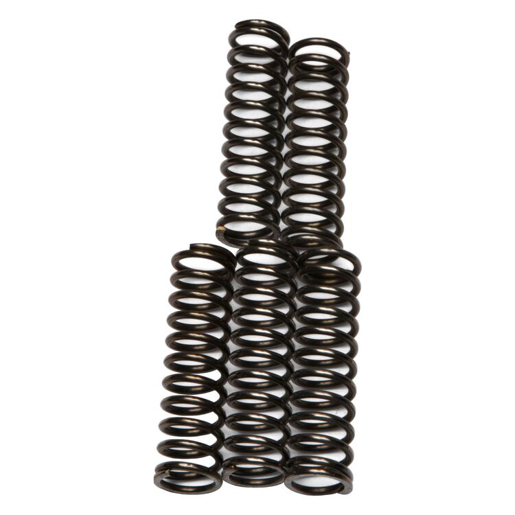 EBC CSK67 Clutch Spring Kit
