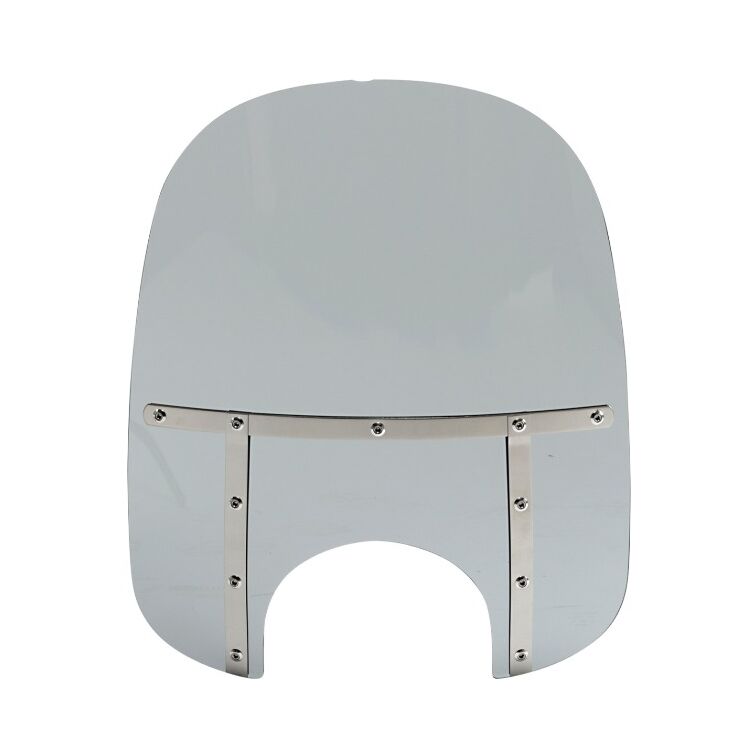 Solar Tint/Silver Straps